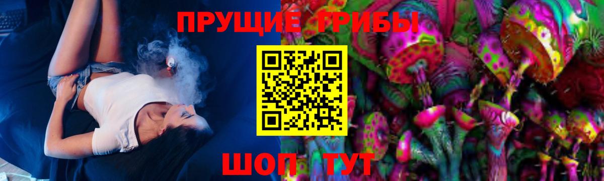 Изобильный  Галлюциногенные грибы MAGIC MUSHROOMS  сколько стоит  Галлюциногенные грибы Psilocybe  Вход с VPN 